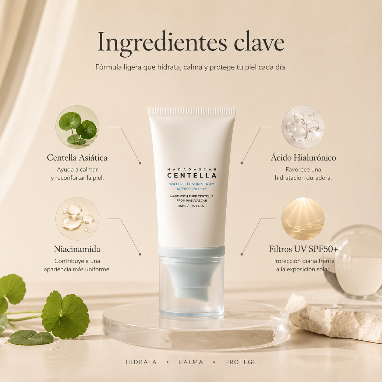 Protector Solar Centella SPF50+ Protección diaria con centella asiática.